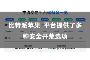 比特派苹果 平台提供了多种安全开荒选项