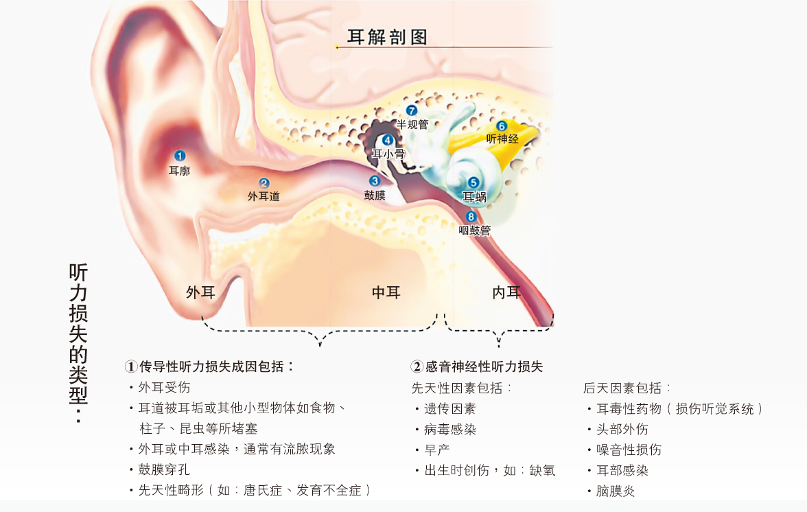 听损孩童学习