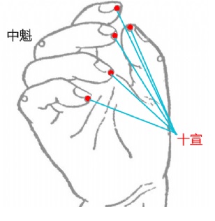 十指