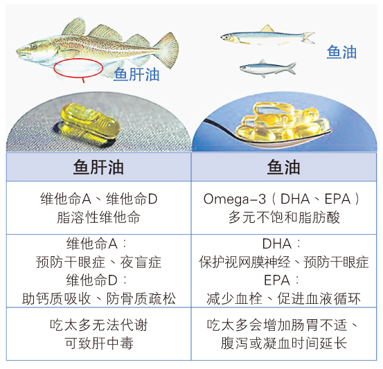 鱼油鱼肝油