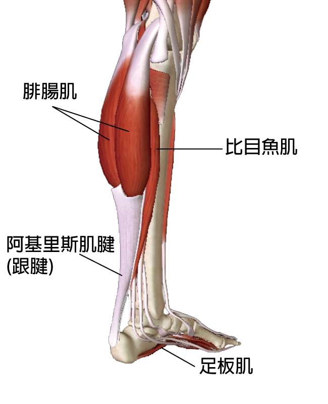 跟腱炎