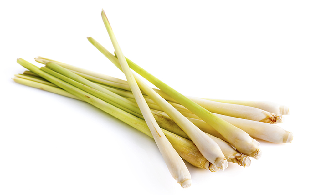 lemongrass