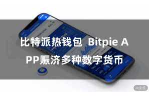 比特派热钱包  Bitpie APP赈济多种数字货币