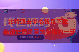 比特派去中心钱包下载  私钥处罚是至关弥留的一环