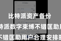 比特派资产备份  而比特派数字束缚不错匡助用户合理安排时辰