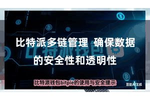比特派多链管理  确保数据的安全性和透明性