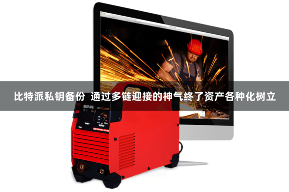 比特派私钥备份  通过多链迎接的神气终了资产各种化树立