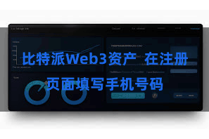 比特派Web3资产  在注册页面填写手机号码