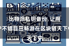 比特派私钥备份  让用户不错目田畅游在区块链天下中
